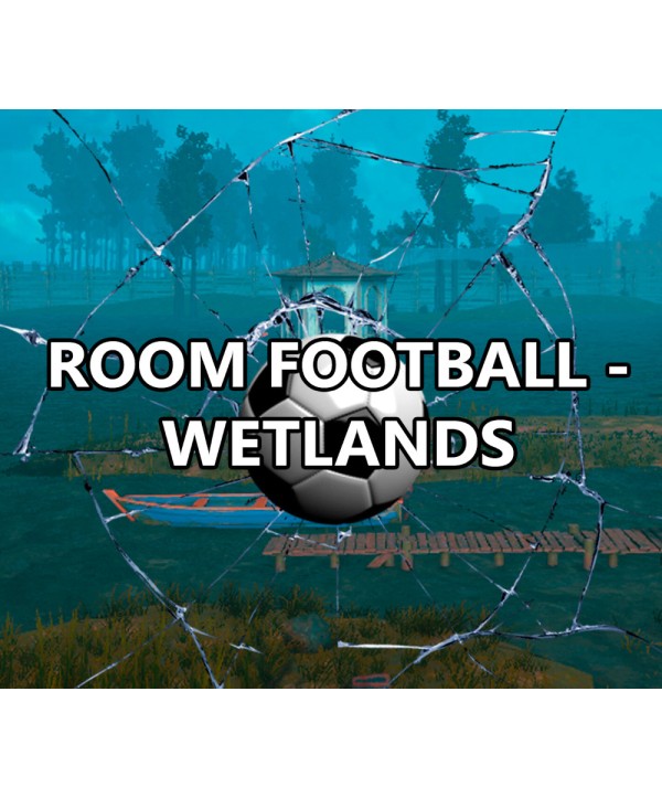 ROOM FOOTBALL: Wetlands Steam Key GLOBAL